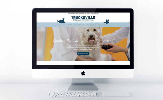 Home page design for Trucksville Dog & Cat Hospital