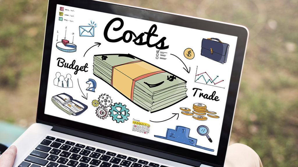 Professional Business Website Costs